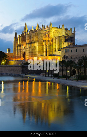 La Seu, beleuchtete Kathedrale und Wahrzeichen von Palma in Abend Licht, historische Zentrum der Stadt Palma de Mallorca, Mallorca, Spanien Stockfoto