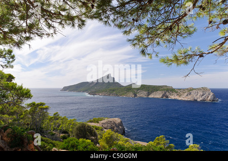 Sa Dragonera, unbewohnte Felseninsel vor Mallorca, Balearen, Spanien, Europa Stockfoto