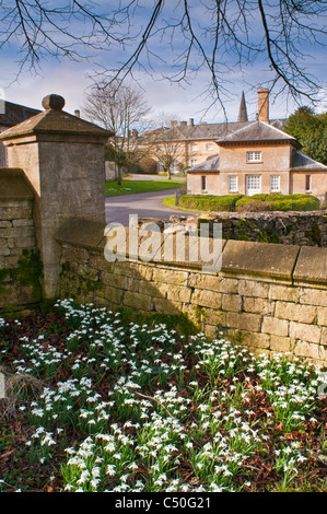 Schneeglöckchen in Sherborne, Gloucestershire, Cotswolds, Großbritannien Stockfoto