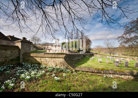 Schneeglöckchen in Sherborne, Gloucestershire, Cotswolds, Großbritannien Stockfoto