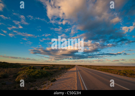 Outback Australien Highway über die Nullarbor Plain Stockfoto