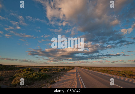 Outback Australien Highway über die Nullarbor Plain Stockfoto