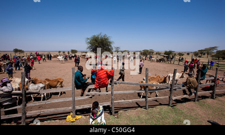 Die Masai Viehmarkt am Aitong. Masai Mara Conservancy, Nordkenia. Stockfoto