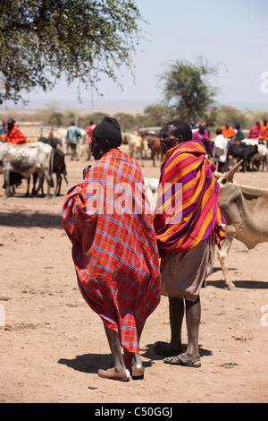 Die Masai Viehmarkt am Aitong. Masai Mara Conservancy, Nordkenia. Stockfoto