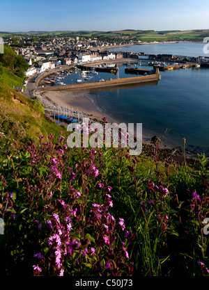 Blick hinunter auf Stonehaven Dorf und Hafen, Aberdeenshire an der nordöstlichen Küste von Schottland Stockfoto