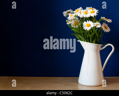 Frische Oxeye Gänseblümchen auf Tisch in weißem Krug im Innenraum Stockfoto