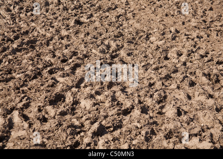 Schlammigen Marktgebiet beim Glastonbury Festival 2011. Stockfoto