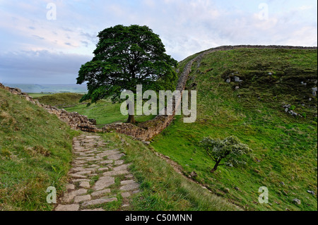 Bergahorn Lücke am Hadrianswall Stockfoto