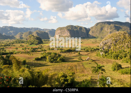 Vinales Tal, Tabak-Plantage, Mogotes, Vinales, Provinz Pinar Del Rio, Kuba Stockfoto