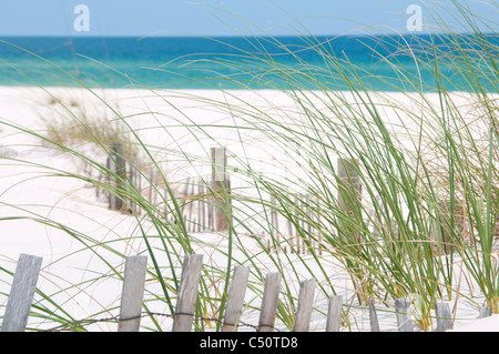 Hübsche Sanddüne auf Perdido Key, Florida Stockfoto