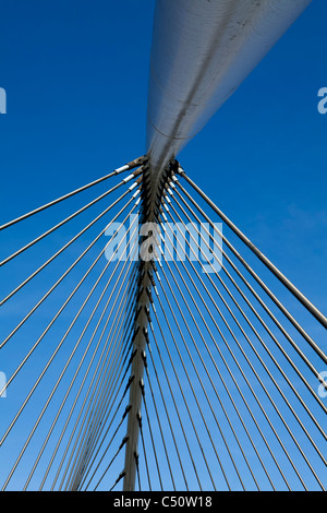 Ansicht einer Suspension bridge, Gare de Bahnhof Liège-Guillemins, Lüttich, Wallonien, Belgien Stockfoto