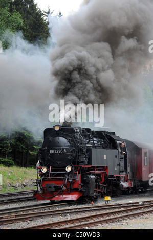 Dampflok am Bahnhof Schierke im Landkreis Harz Sachsen-Anhalt Deutschland Stockfoto