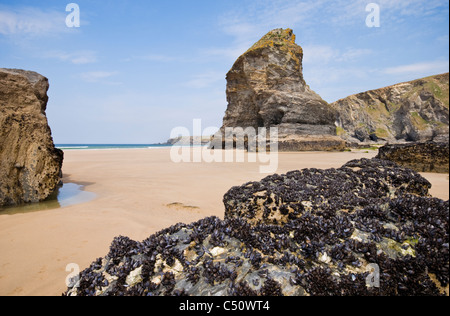 Der Strand von Bedruthan Steps auf der nördlichen Küste von Cornwall in England, UK Stockfoto