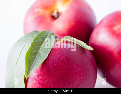 Nektarine auf weißem Hintergrund in einem Studio gedreht Stockfoto