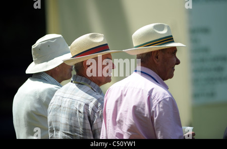 Männer in Panama hüten einen Drink beim Betrachten einer Cricket-Match-UK Stockfoto