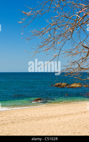 Playa Conchal in Guanacaste lange den Pazifischen Ozean gilt unter den schönsten Stränden In Costa Rica Stockfoto