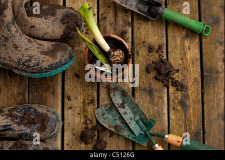 Schlammigen Stiefel und Gartengeräten auf Rückseite deck mit Blumentöpfe mit Hyazinthe Birne im Topf nach der Arbeit im Garten. Stockfoto