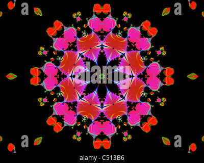 Kaleidoskop-Muster mit dem ChaosPro Programm erstellt Stockfoto
