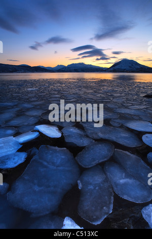 Eisflocken driften in Richtung der Berge auf Tjeldoya Island, Norwegen. Stockfoto