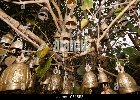 Detail der Glocken hängen in den Bäumen. Foto wurde neben The Big Buddha-Statue in Phuket, Thailand. Stockfoto