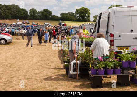 Ein Stall zu verkaufen Pflanzen auf einem Flohmarkt in Suffolk, England, Großbritannien, Vereinigtes Königreich Stockfoto