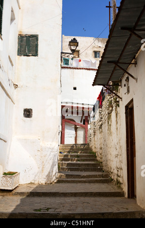 Häuser in der Casbah Algier, Algerien, Nord-Afrika Stockfoto