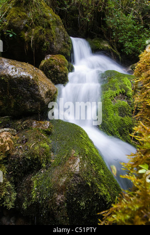 Kleiner Bach entlang Inka Trail Peru Stockfoto