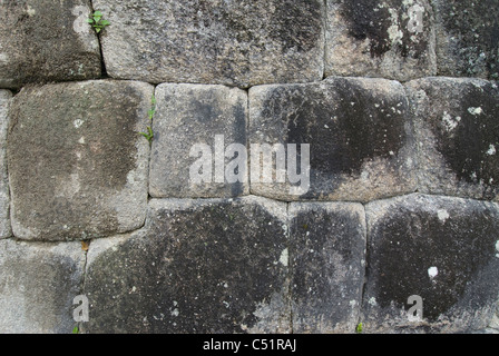 Nahaufnahme der Inka Mauerwerk am Winay Wayna Standort in der Nähe von den Inka-Trail in den peruanischen Anden Stockfoto
