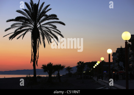 Eine Palme ist stark gegen ein Abendhimmel an der Costa del Sol in Südspanien Silhouette Stockfoto