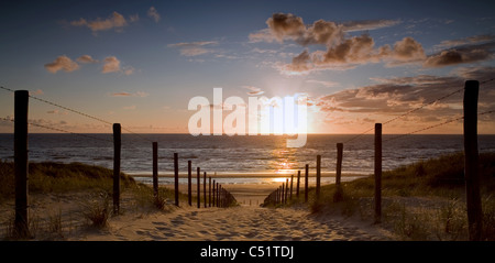 Sonnenuntergang an der niederländischen Küste, nahe dem Meer Wandern Stockfoto