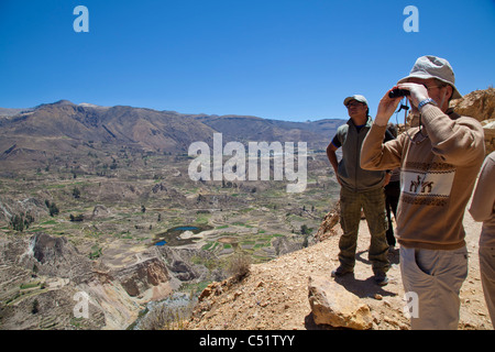 Touristen, die Blick auf den Collahua-Terrassen, Colca Canyon, Peru Stockfoto