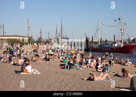 Sonnenanbeter, Fluss Elbe Ufer in Övelgönne, Hanse Stadt Hamburg, Deutschland, Europa Stockfoto