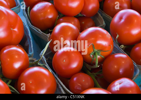 Tomaten auf öffentlichen Markt in Rochester New York Stockfoto