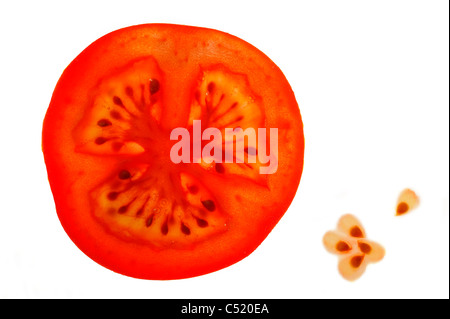 Scheibe Tomate (Solanum Lycopersicum / Lycopersicon Esculentum) und Samen auf weißem Hintergrund Stockfoto