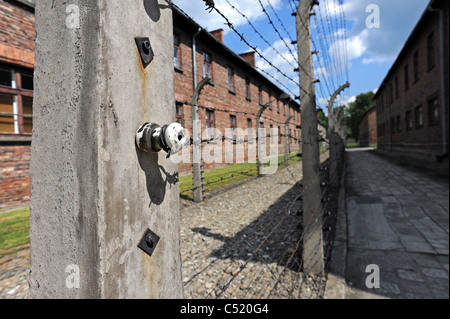 Ehemaligen KZ Auschwitz 1 und heute ein staatliches Museum - Nahaufnahme von der elektrifizierten Stacheldraht-Zäune Stockfoto