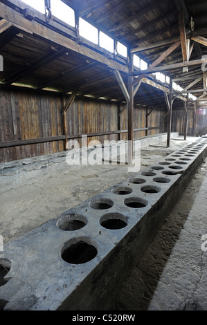 Ehemaligen KZ Auschwitz II Birkenau und heute ein staatliches Museum - Toiletten in der hölzernen Latrine-Hütte Stockfoto