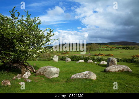 Die Piper Steinen oder Athgreany Steinkreis (1400-800 v. Chr.) eine Bronzezeit ist Stein Kreis von 16 Granitfelsen bei Athgreany, County Wicklow, Ireland Stockfoto