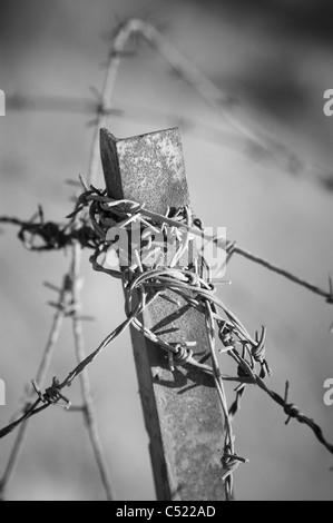 Rostiger Stacheldraht Zaun Detail; Israelischen Militärbasis Stockfoto