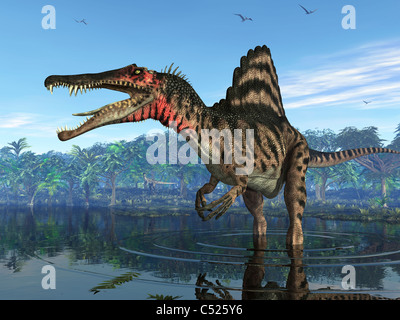 Ein Spinosaurus sucht für seine nächste Mahlzeit. Stockfoto