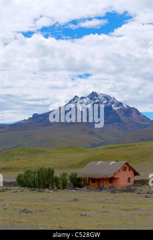 Sincholagua Vulkan 4893 setzt voraus M gesehen von Cotopaxi National Park Ecuador Stockfoto