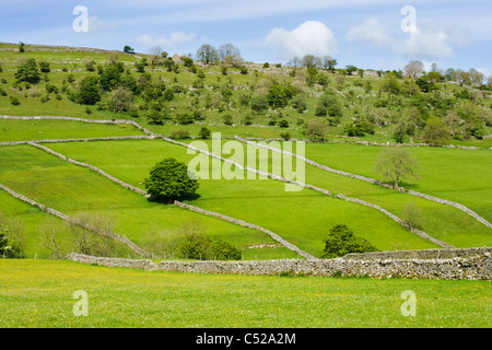 Felder und Trockenmauern Wände in der Nähe von Kettlewell, Yorkshire Dales, UK Stockfoto