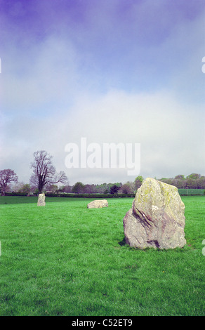 Zwölf Apostel Steinkreis aus A76 in der Nähe von Newbridge, nördlich von Dumfries, Dumfries & Galloway, Schottland, UK Stockfoto