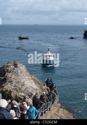 Ornithologen wartet an Bord Boot Skomer Island verlassen. Pembrokeshire. UK Stockfoto