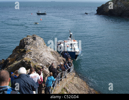 Ornithologen wartet an Bord Boot Skomer Island verlassen. Pembrokeshire. UK Stockfoto