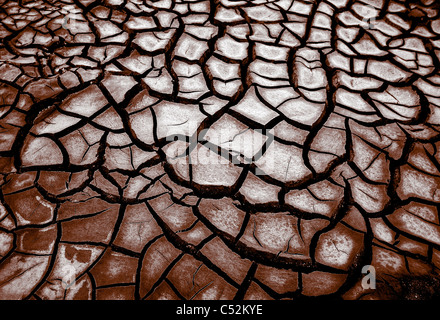 Trockene rissige schlammige Oberfläche des Bodens eines getrockneten Raus aus dem See Stockfoto