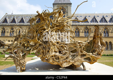 Baumwurzeln in Ghost Forest-Ausstellung an der Universität Oxford ist Museum of Natural History und das Pitt Rivers Museum, England Stockfoto