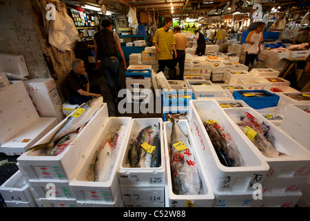 Fisch zum Verkauf an die Tsukiji Großhandel Meeresfrüchte und Fischmarkt in Tokio Japan Stockfoto