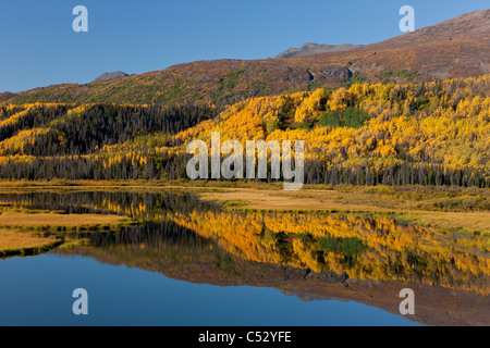 Malerische Aussicht von Feuchtgebieten Herbstfarben entlang des Alaska Highway zwischen Haines und Haines Junction, Yukon Territorium, Kanada Stockfoto
