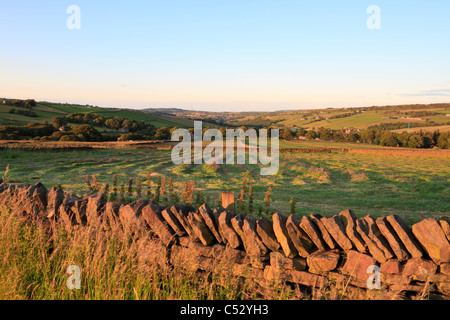 Am frühen Abend gemäht Silage Feld in die Holme Senke nahe Holmfirth, West Yorkshire, England, UK. Stockfoto