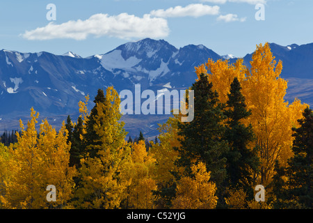 Malerische Aussicht auf Berge und bunten Aspen und Willow Bäume entlang der Alaska Highway, Yukon Territorium, Kanada Stockfoto